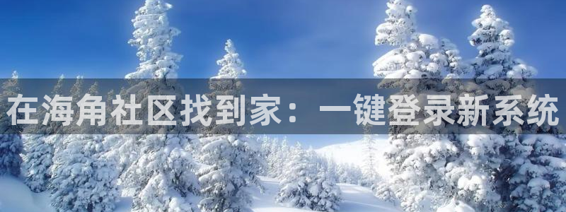 海角社区hj4b：在海角社区找到家：一键登录新系统