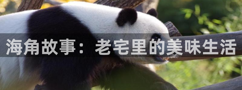 (海角社区)回家的路：海角故事：老宅里的美味生活