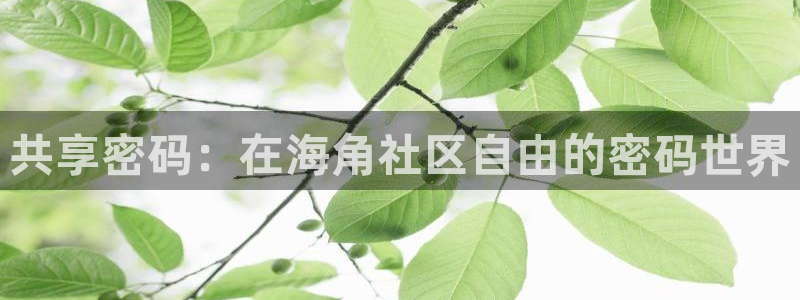 抖音海角社区妈妈：共享密码：在海角社区自由的密码世界