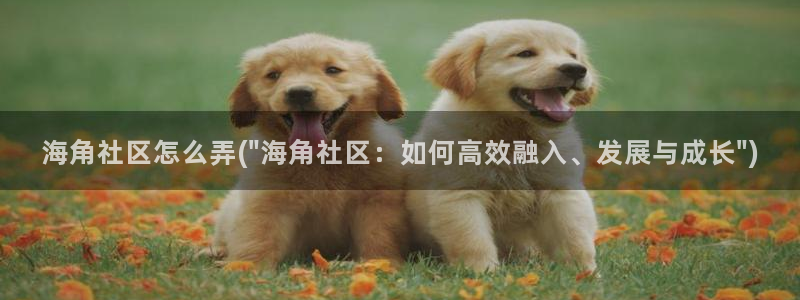 海角社区在线人口：海角社区怎么弄(\