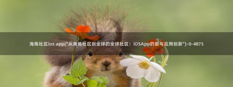 海角社区在哪：海角社区ios app(\