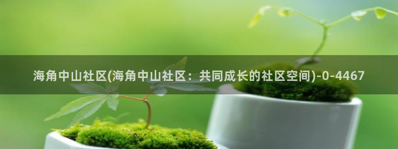 海角社区破解脚本：海角中山社区(海角中山社区：共同成长的社区空间)