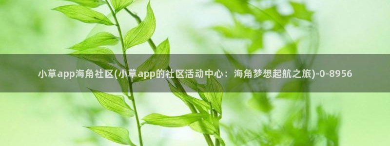 论坛海角社区：小草app海角社区(小草app的社区活动中心：海角梦想起航之旅)