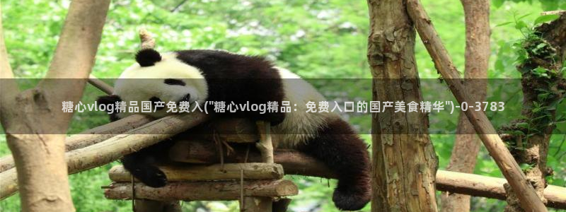 糖果心vlog怎么下载：糖心vlog精品国产免费入(