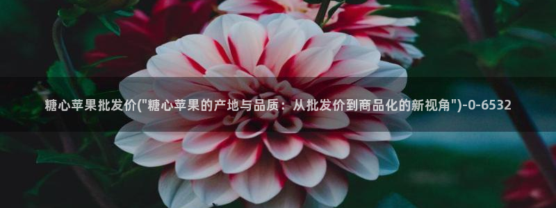 糖心原创vlog：糖心苹果批发价(\