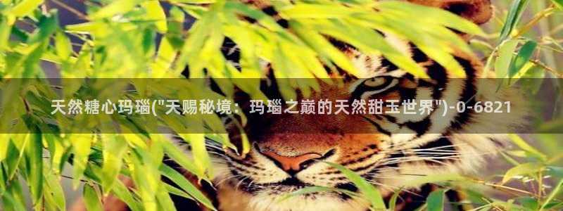 糖心vlog视频唐伯虎：天然糖心玛瑙(\