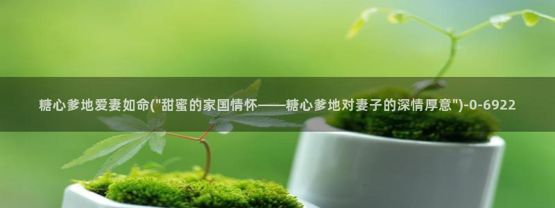 捅主任糖心vlog