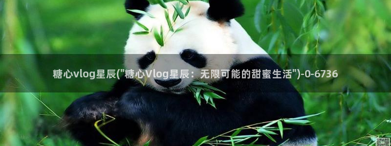 糖心vlog糖糖