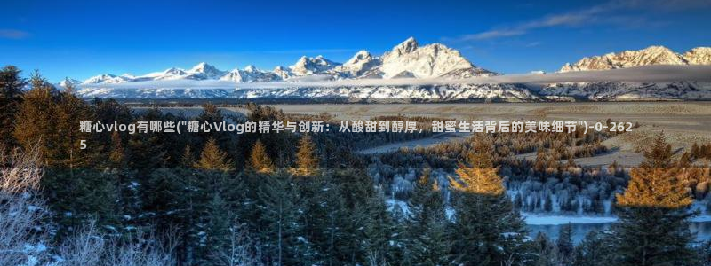 在线糖心vlog：糖心vlog有哪些(\