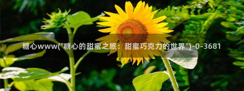 糖心·vlog：糖心www(\