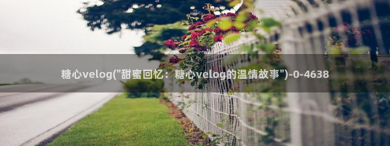 中国区糖心vlog：糖心velog(\