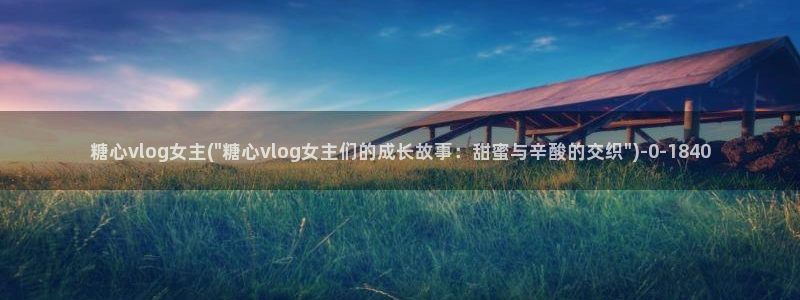 糖心vlog在线观看地址
