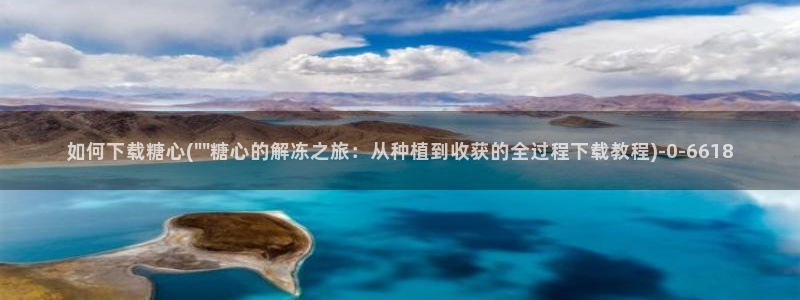 心糖vlog 网站